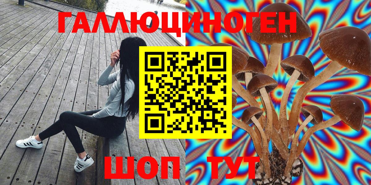 Галлюциногенные грибы Cubensis  Вход с VPN  Галлюциногенные грибы Magic Shrooms  Шебекино 